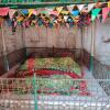 Отель Tent-O-Treat Premium Rooms near Dapoli, фото 1