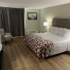 Отель Red Roof Inn Niagara Falls, фото 4