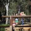 Отель Billabong Camp, Taronga Western Plains Zoo, фото 28