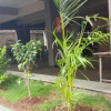 Отель Bhagwati Lodging, фото 17