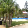 Отель Koala Tree Motel, фото 16