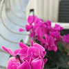 Отель B&B Nonna Ita, фото 11