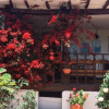 Отель Casa San Luis, фото 10