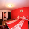 Отель Pensiunea Radena, фото 4
