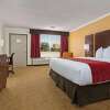 Отель Ramada by Wyndham Tampa Westshore Airport South, фото 3