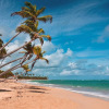 Отель Playa Palmera Beach Resort, фото 33