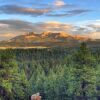 Отель Pikes Peak Paradise - Woodland Park, фото 38