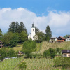 Отель Cuk's Vineyard Wellness Cottage, фото 19
