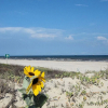 Отель Holiday Beach House 3Br Home, фото 16