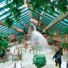 Отель Westgate Smoky Mountain Resort & Water Park, фото 13