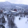 Отель Lifort Sapporo, фото 15