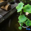 Отель Yunshuiyu Moganshan Hot Spring Siheyuan Homestay, фото 6