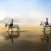 Отель Condo Punta M, фото 17