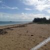 Отель Beach Reach by Living Easy Abaco, фото 10