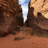 Отель Bedouin Roads Camp, фото 5
