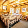 Отель Colorado Bear Creek Cabins, фото 40