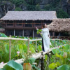 Отель Muong Village Ninh Binh, фото 9