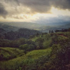 Отель Lands End Kandy, фото 2