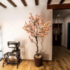 Отель Maremar Suites, фото 34