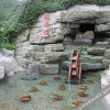 Отель Shungeng Manor Ecological Park, фото 15