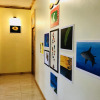 Отель Kudos Stay, фото 5