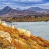 Отель Galway Bay Lodge, фото 18