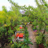 Отель Labuana Homestay & Cafe Garden, фото 12