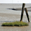 Отель Strand Hotel Nordsee, Hotel Schnaugst, фото 16