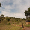 Отель Zinyala Private Game Reserve, фото 10