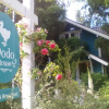 Отель Dodo House, фото 2