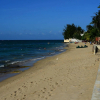 Отель Tres Palmas Inn, фото 13