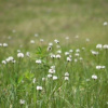 Отель Pension VindeRouge, фото 10
