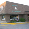 Отель Motel Penn - Mass, фото 1