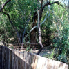 Отель Amanzimlotzi Riverside Bush Camp in Kruger Park, Limpopo, фото 10