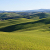 Отель Il Chiesino Bed and Breakfast, фото 18
