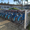 Отель Marina Beach Motel, фото 12
