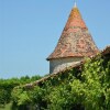 Отель Chambres dHôtes et Gîtes du Château de Clauzuroux, фото 39