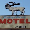 Отель Caribou Lodge and Motel в Соде-Спрингсе