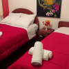Отель Hostal Bromelias Inn, фото 4