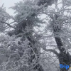 Отель Wangyue Mountain House Homestay (Nanyue Hengshan Scenic Area), фото 22