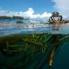 Отель Chumbe Island Coral Park, фото 28