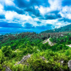 Отель Samui Green Palm Resort, фото 10
