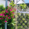 Отель The Dreamers Homestay, фото 25