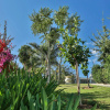 Отель Monte Vidéo Guest House, фото 4