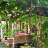 Отель Eden Garden Ayurvedic Health Retreat, фото 17