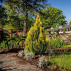 Отель Azalea Garden Inn, фото 24