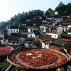 Отель Wuyuan Huangling Villa, фото 8