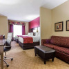 Отель Comfort Suites Stockbridge Atlanta South, фото 3