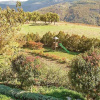 Отель Casa del Grano, фото 13