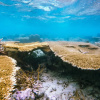 Отель Hide Inn Blue, фото 26